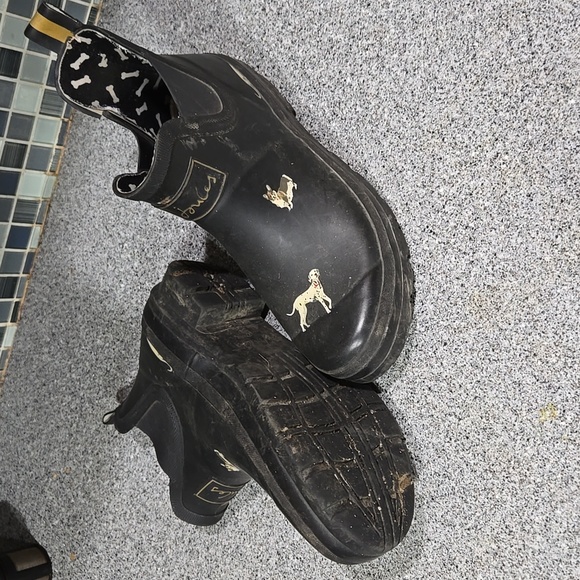 WELLIBOB JOULES DOG RAIN BOOTS - Picture 3 of 7